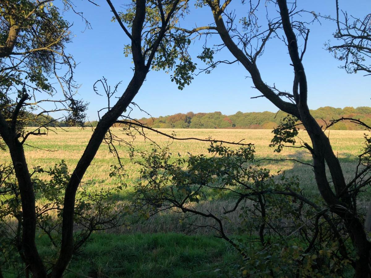 Old Hunters Lodge Whipsnade Limited المظهر الخارجي الصورة